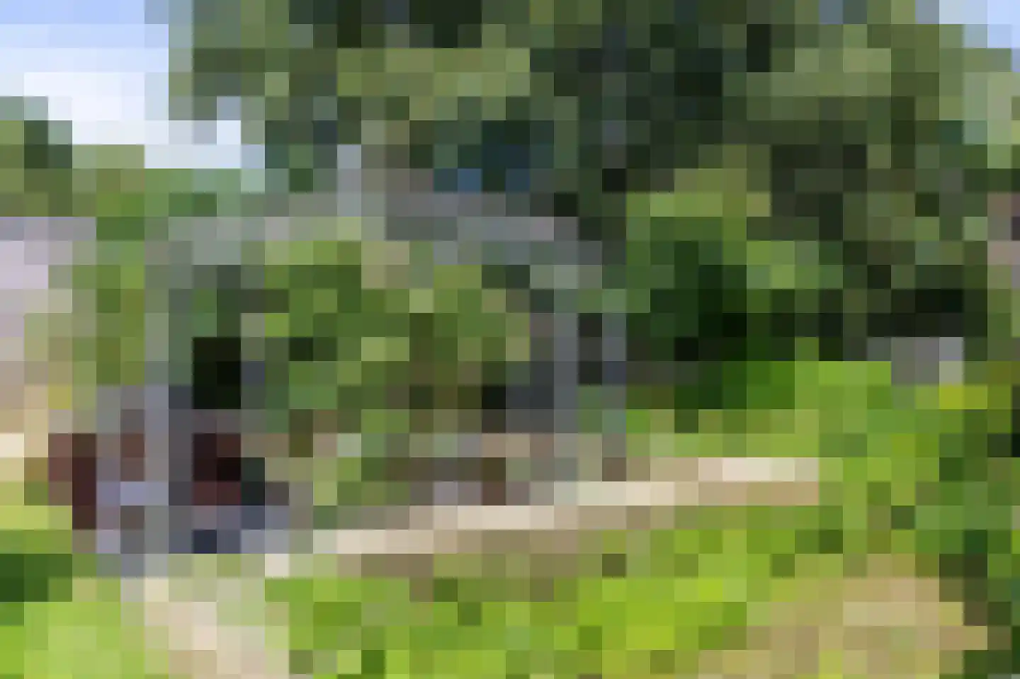 Withuis 16 Eijsden thumbnail 44