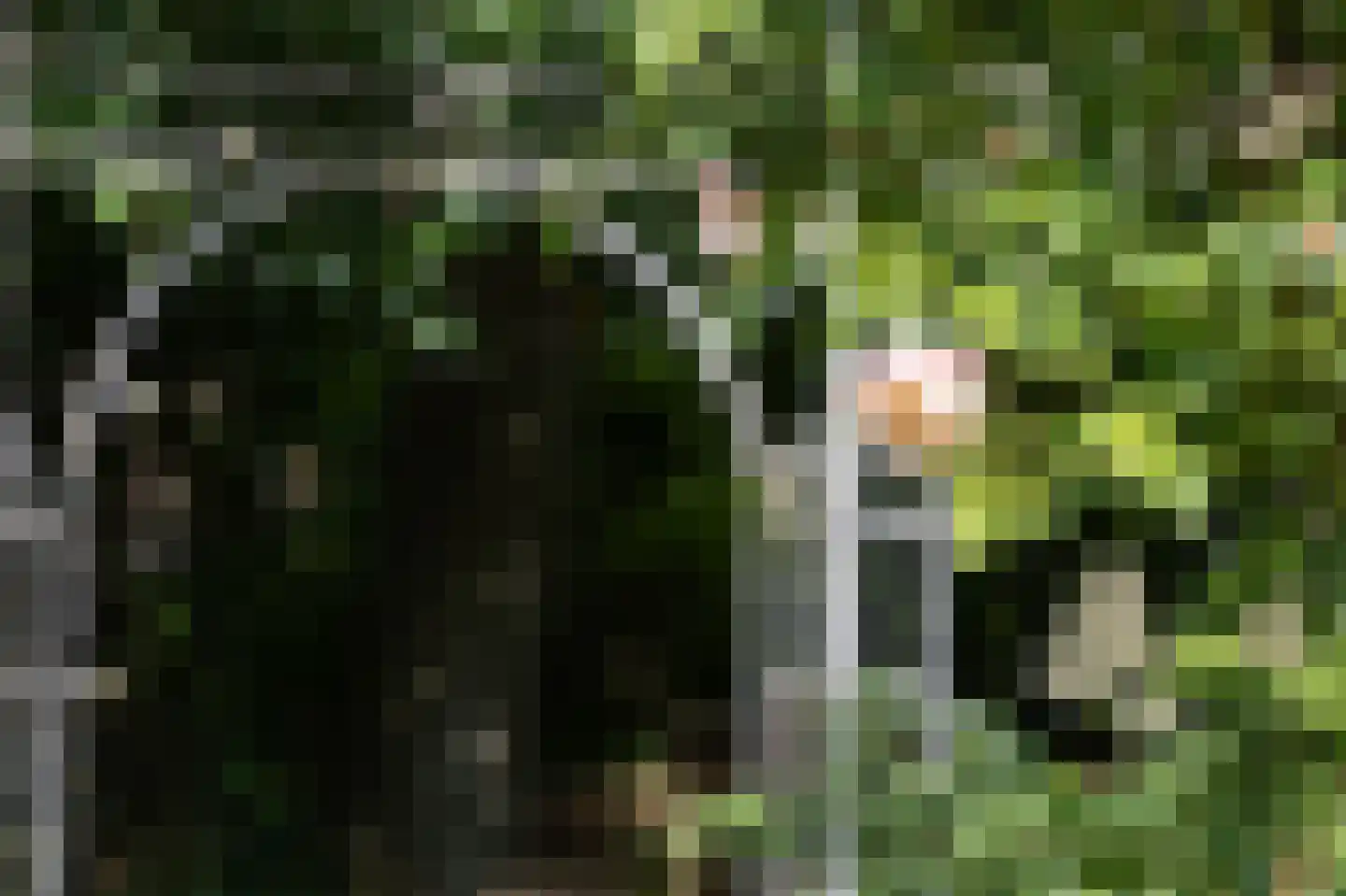 Withuis 16 Eijsden thumbnail 45
