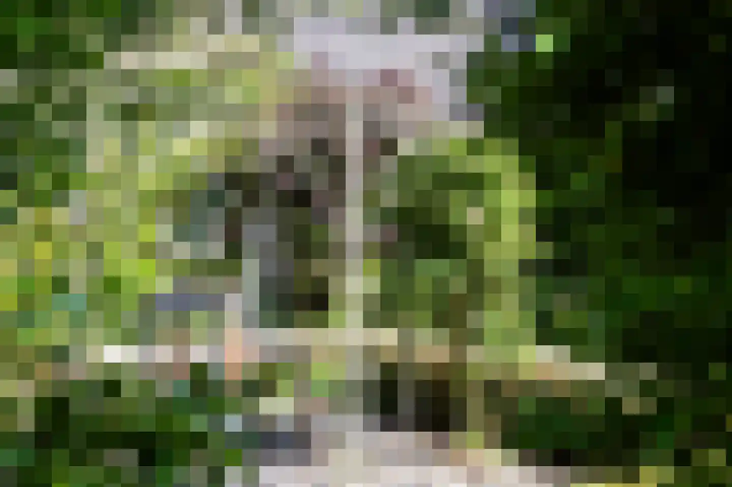 Withuis 16 Eijsden thumbnail 46