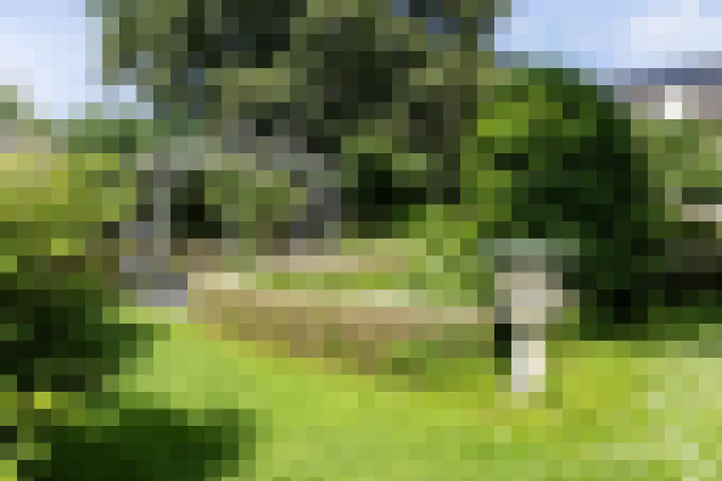 Withuis 16 Eijsden thumbnail 47