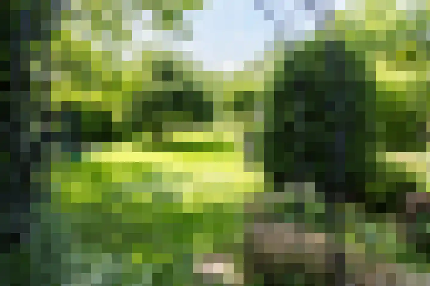 Withuis 16 Eijsden thumbnail 48
