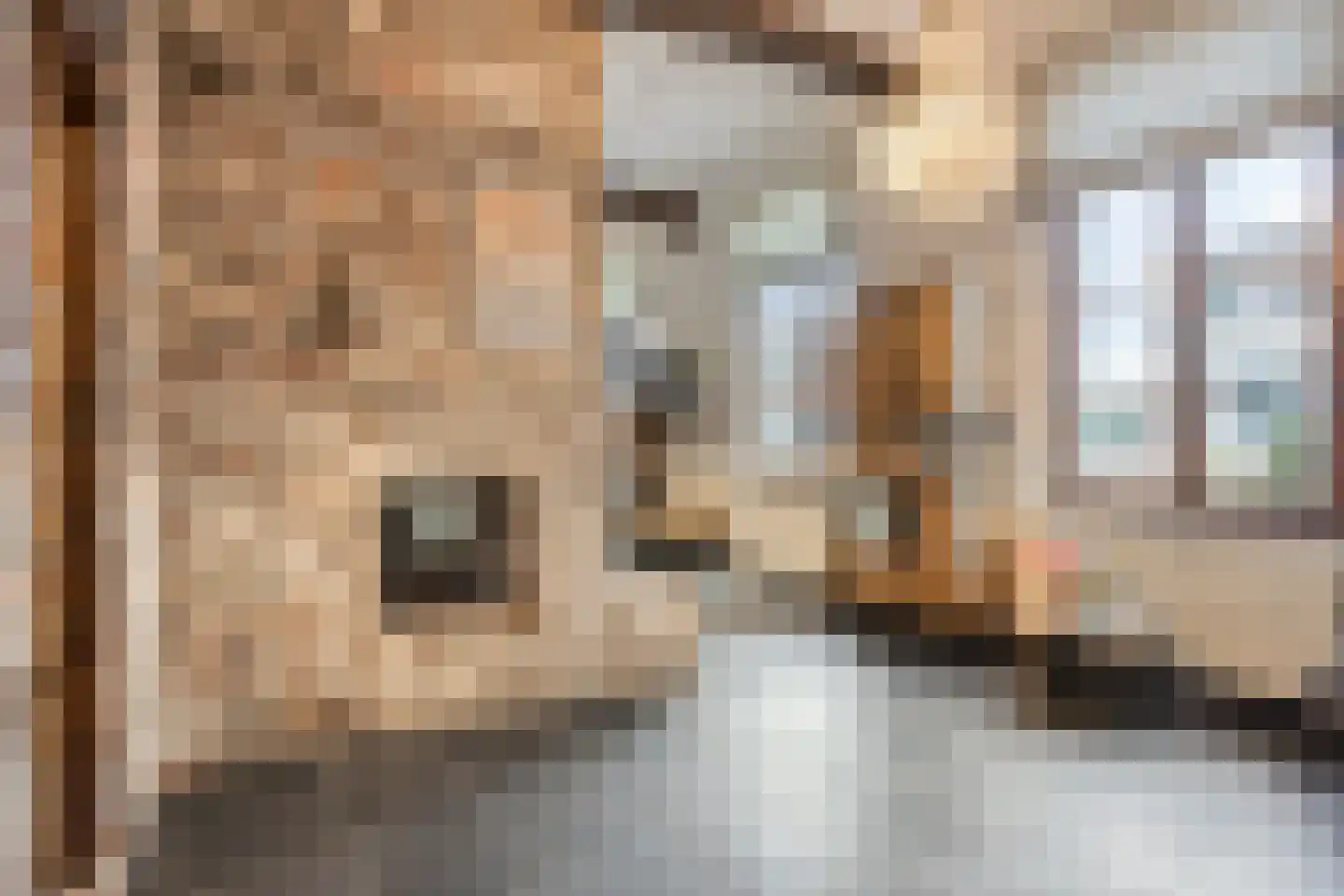 Withuis 16 Eijsden thumbnail 5