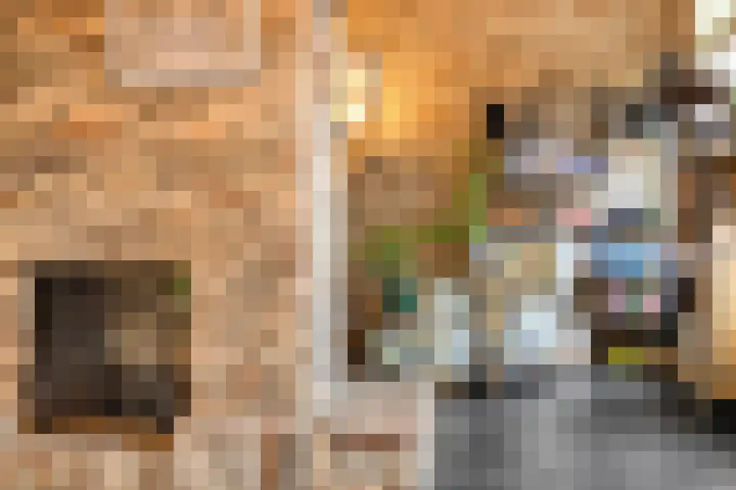 Withuis 16 Eijsden thumbnail 6