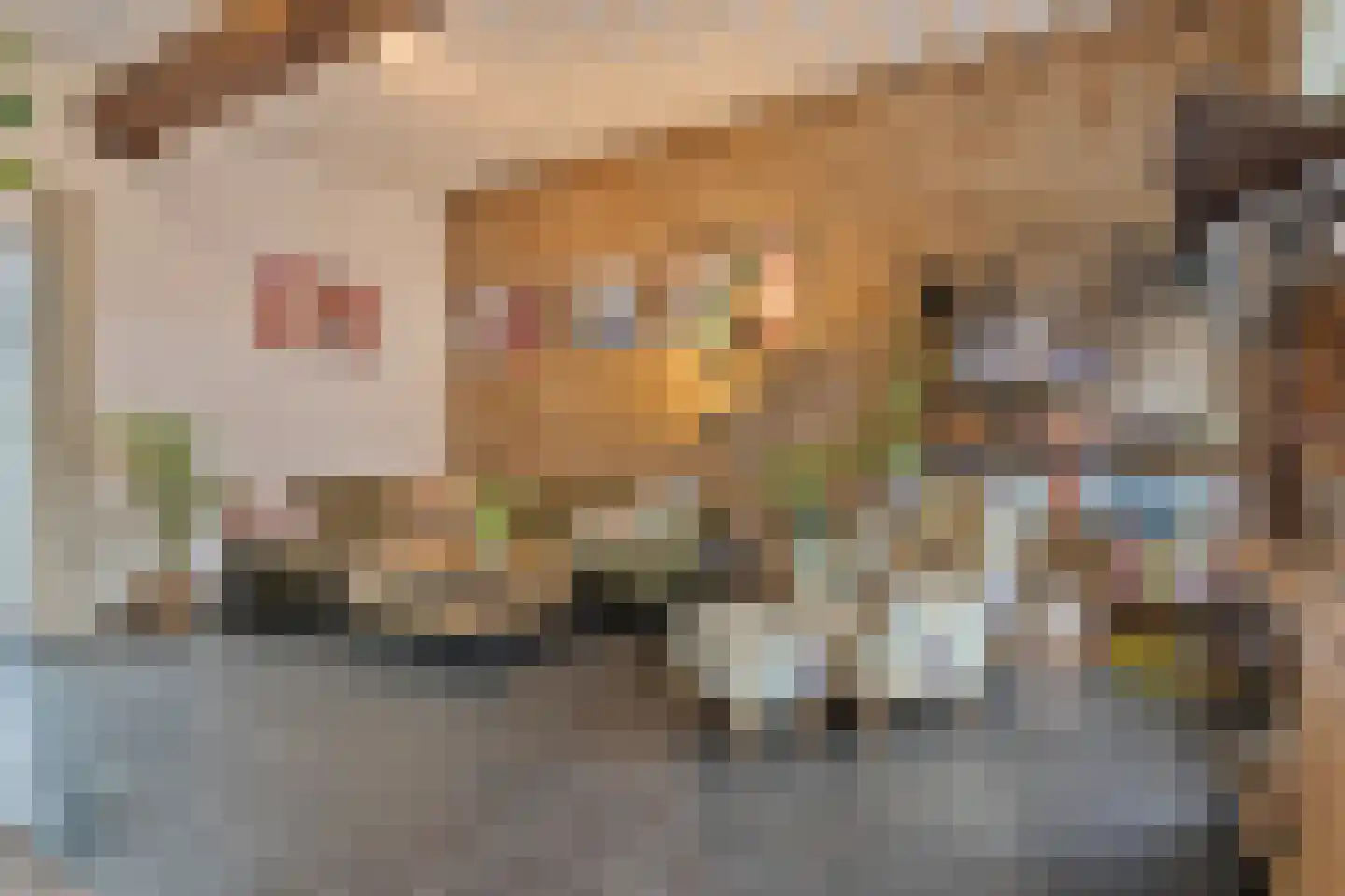 Withuis 16 Eijsden thumbnail 7
