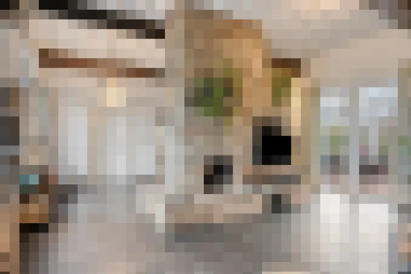 Withuis 16 Eijsden thumbnail 8