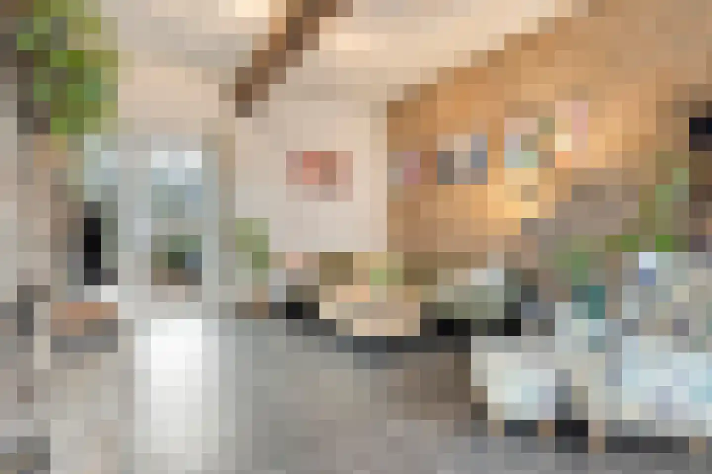 Withuis 16 Eijsden thumbnail 9