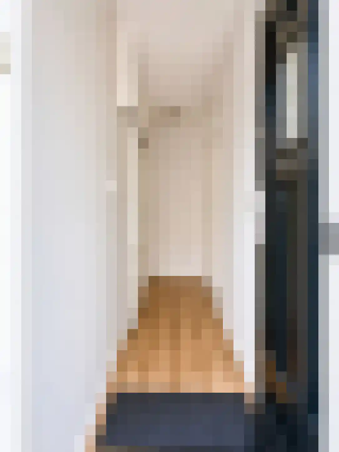 Withuysstraat 159 Den Haag thumbnail 8