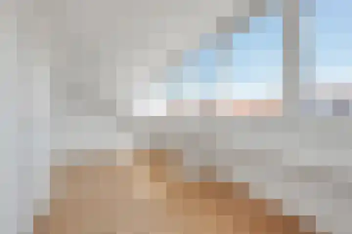 Withuysstraat 173 Den Haag thumbnail 21