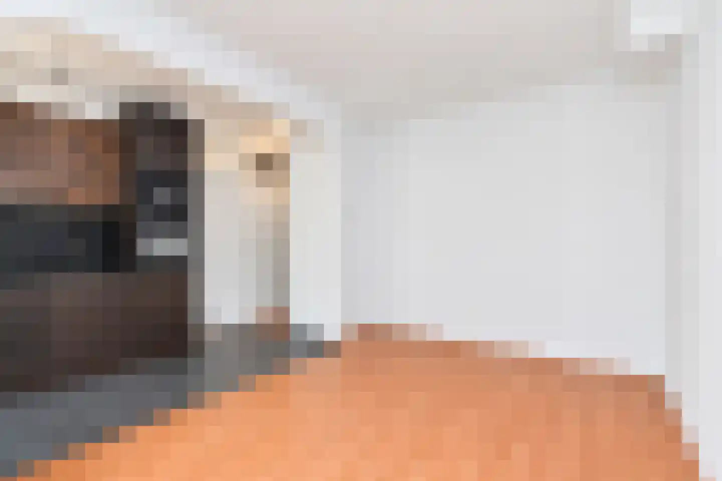 Withuysstraat 175 Den Haag thumbnail 9
