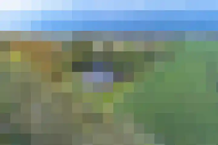 Witkoelenweg 6 in Eesergroen