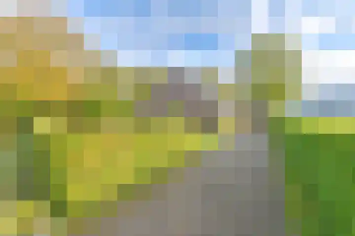 Witkoelenweg 6 Eesergroen thumbnail 10