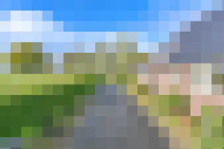 Witkoelenweg 6 Eesergroen thumbnail 11