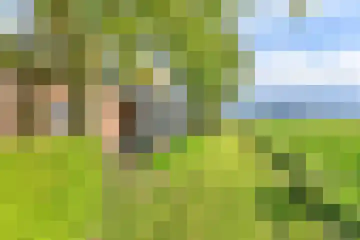 Witkoelenweg 6 Eesergroen thumbnail 12