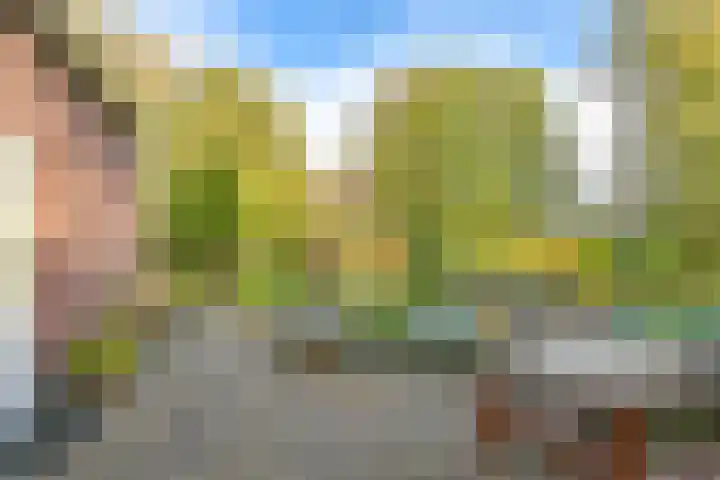 Witkoelenweg 6 Eesergroen thumbnail 14