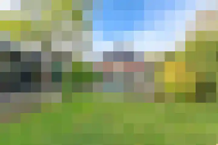 Witkoelenweg 6 Eesergroen thumbnail 15