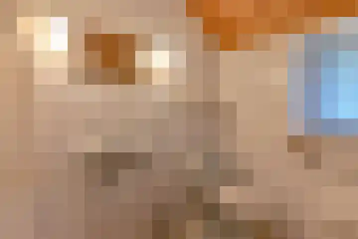 Witkoelenweg 6 Eesergroen thumbnail 19