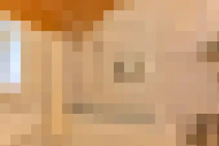 Witkoelenweg 6 Eesergroen thumbnail 20