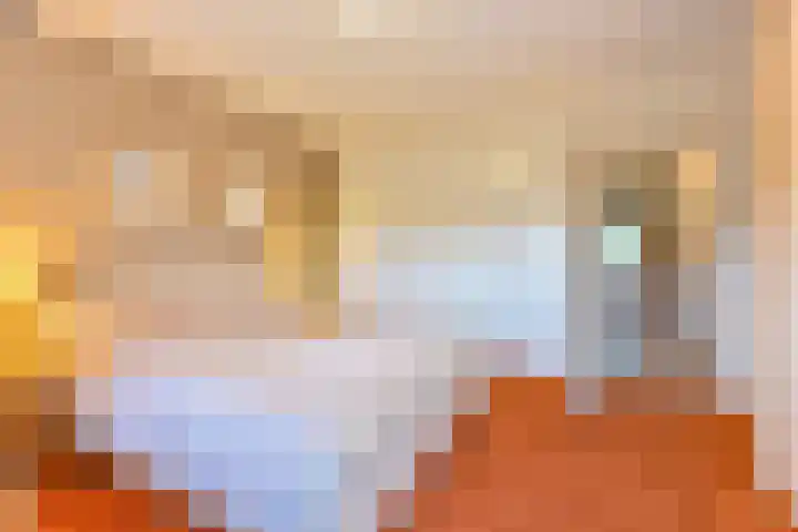 Witkoelenweg 6 Eesergroen thumbnail 25