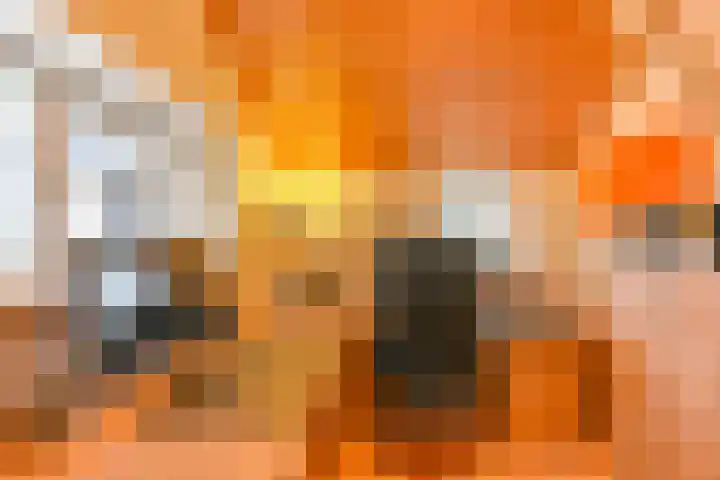 Witkoelenweg 6 Eesergroen thumbnail 26