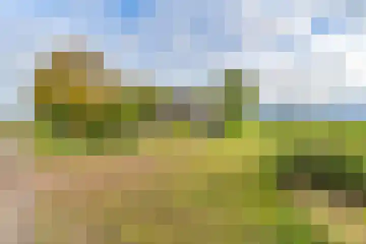 Witkoelenweg 6 Eesergroen thumbnail 4