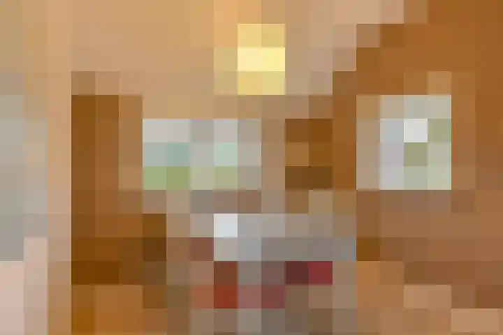 Witkoelenweg 6 Eesergroen thumbnail 47