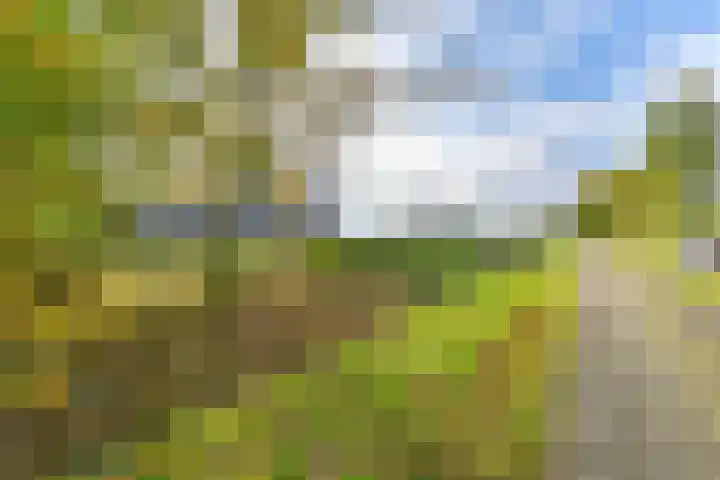 Witkoelenweg 6 Eesergroen thumbnail 5