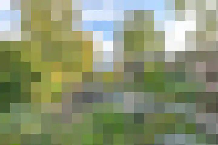Witkoelenweg 6 Eesergroen thumbnail 53