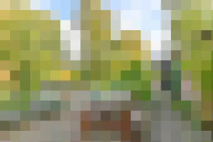 Witkoelenweg 6 Eesergroen thumbnail 54