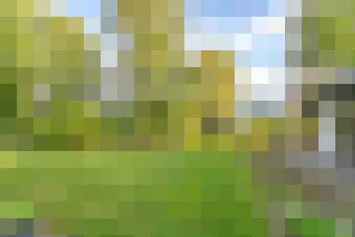 Witkoelenweg 6 Eesergroen thumbnail 55