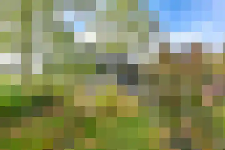 Witkoelenweg 6 Eesergroen thumbnail 56