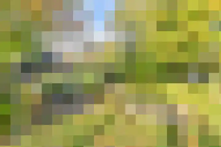 Witkoelenweg 6 Eesergroen thumbnail 57