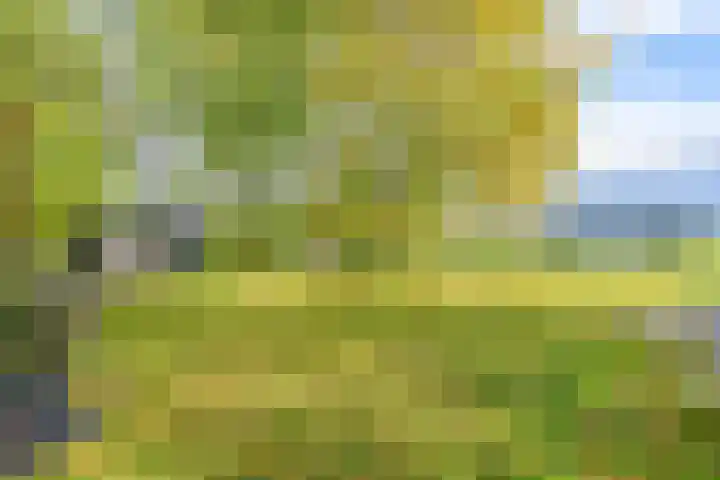 Witkoelenweg 6 Eesergroen thumbnail 58