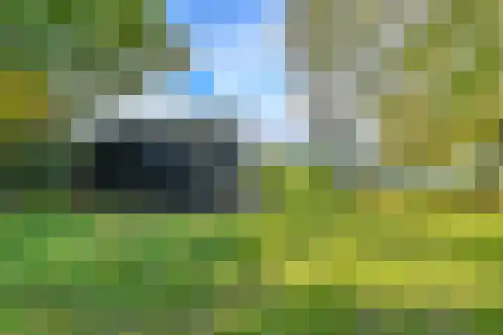 Witkoelenweg 6 Eesergroen thumbnail 59