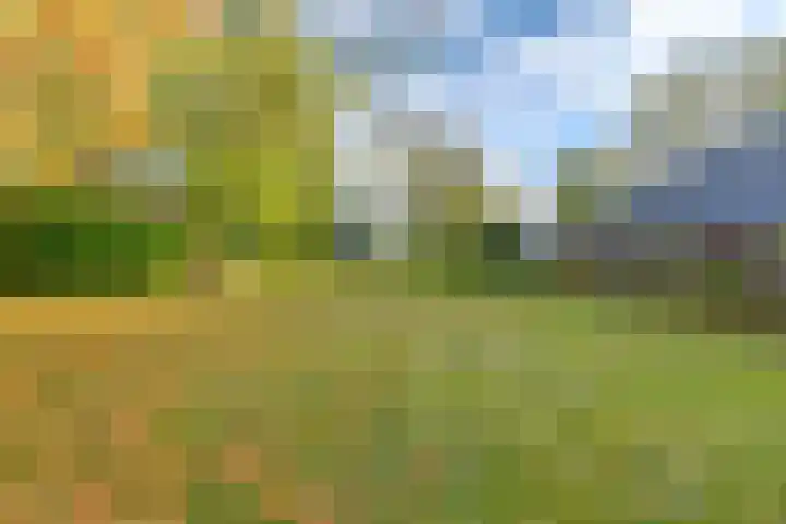 Witkoelenweg 6 Eesergroen thumbnail 6