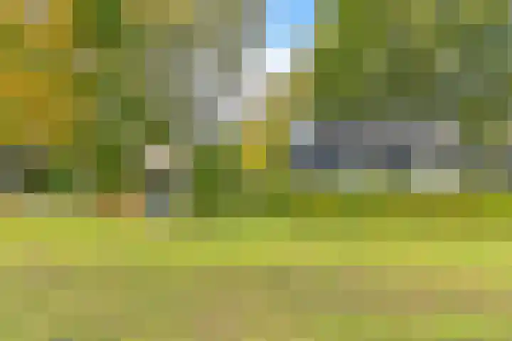 Witkoelenweg 6 Eesergroen thumbnail 60
