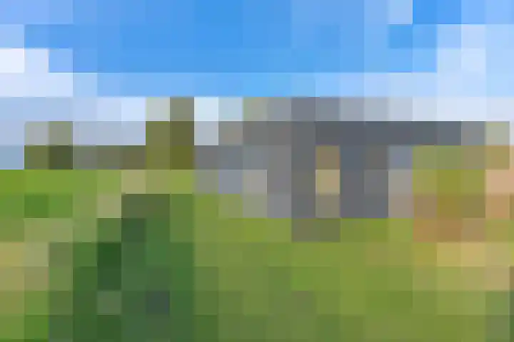 Witkoelenweg 6 Eesergroen thumbnail 66