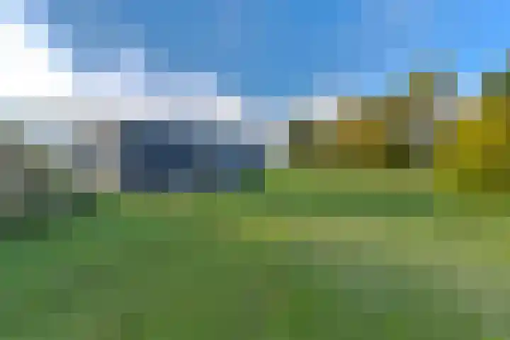 Witkoelenweg 6 Eesergroen thumbnail 67