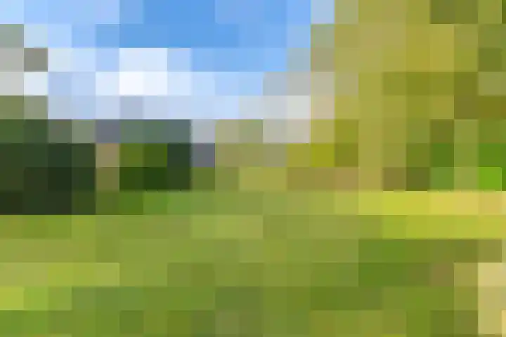 Witkoelenweg 6 Eesergroen thumbnail 7