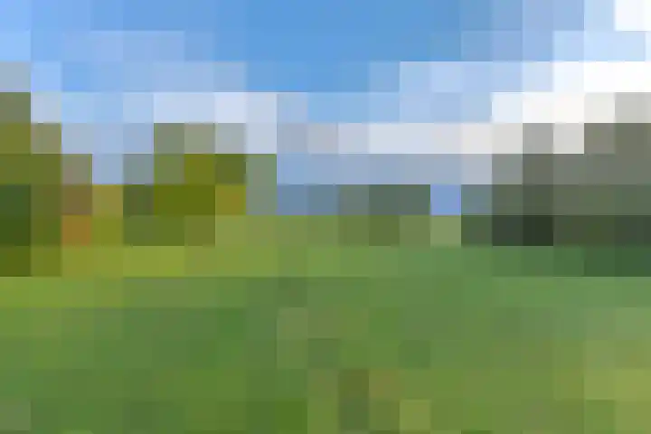 Witkoelenweg 6 Eesergroen thumbnail 76