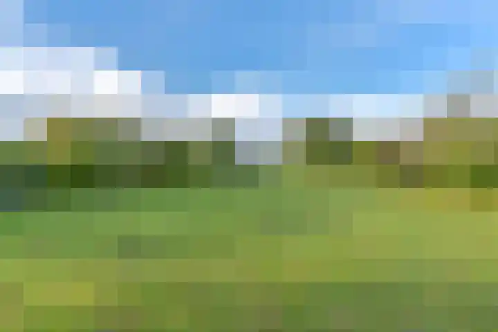 Witkoelenweg 6 Eesergroen thumbnail 77