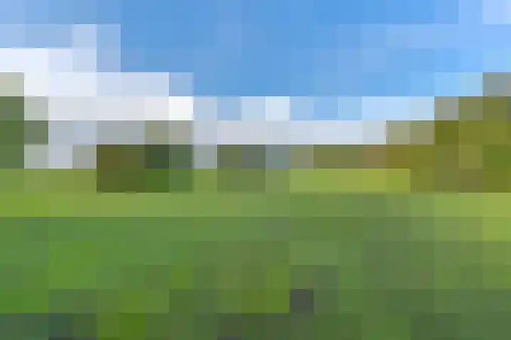 Witkoelenweg 6 Eesergroen thumbnail 78