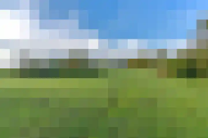 Witkoelenweg 6 Eesergroen thumbnail 79