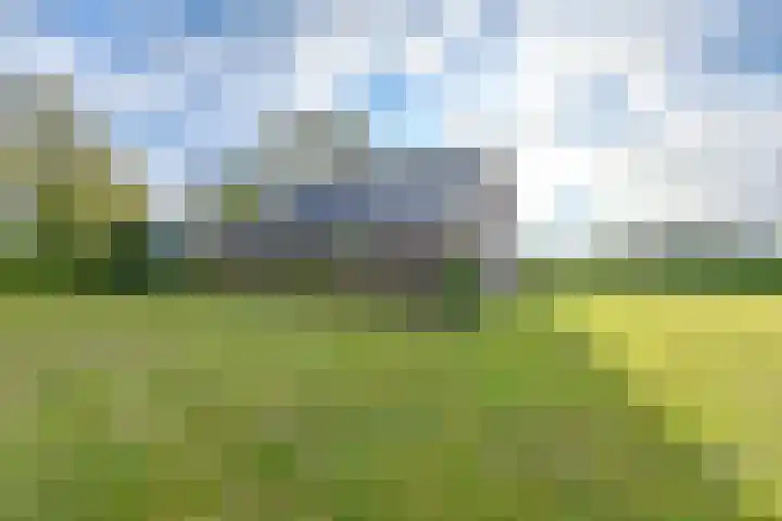 Witkoelenweg 6 Eesergroen thumbnail 8