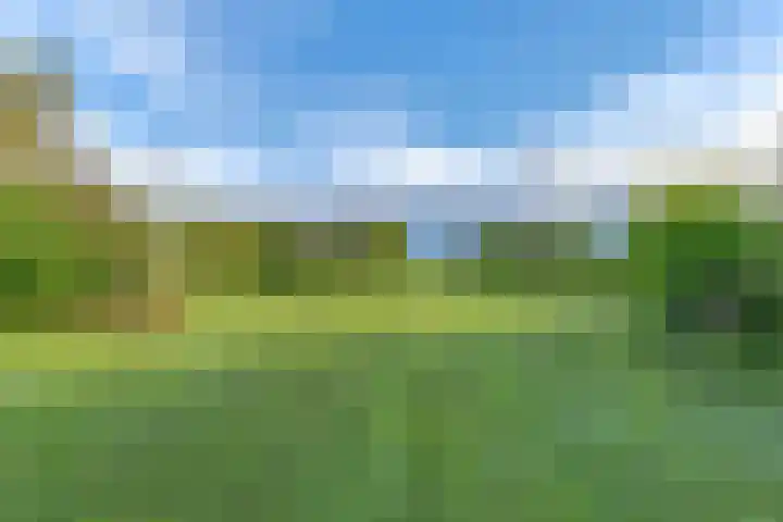 Witkoelenweg 6 Eesergroen thumbnail 80