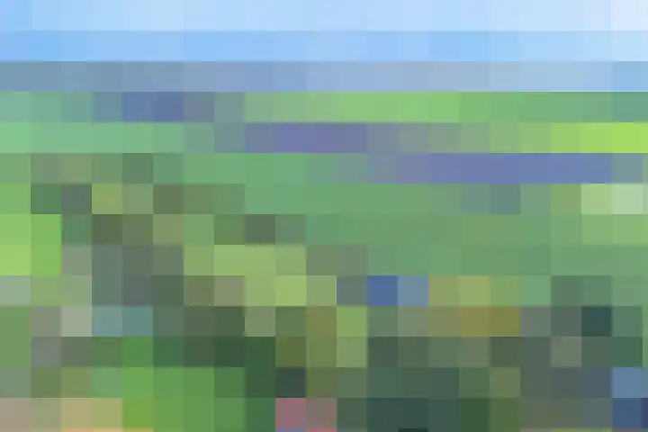 Witkoelenweg 6 Eesergroen thumbnail 81