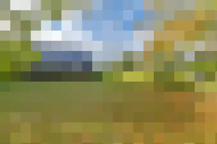 Witkoelenweg 6 Eesergroen thumbnail 9