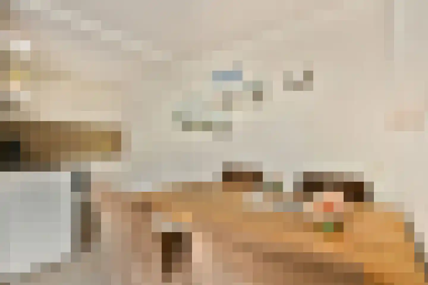 Witkopeend 9 Uithoorn thumbnail 12