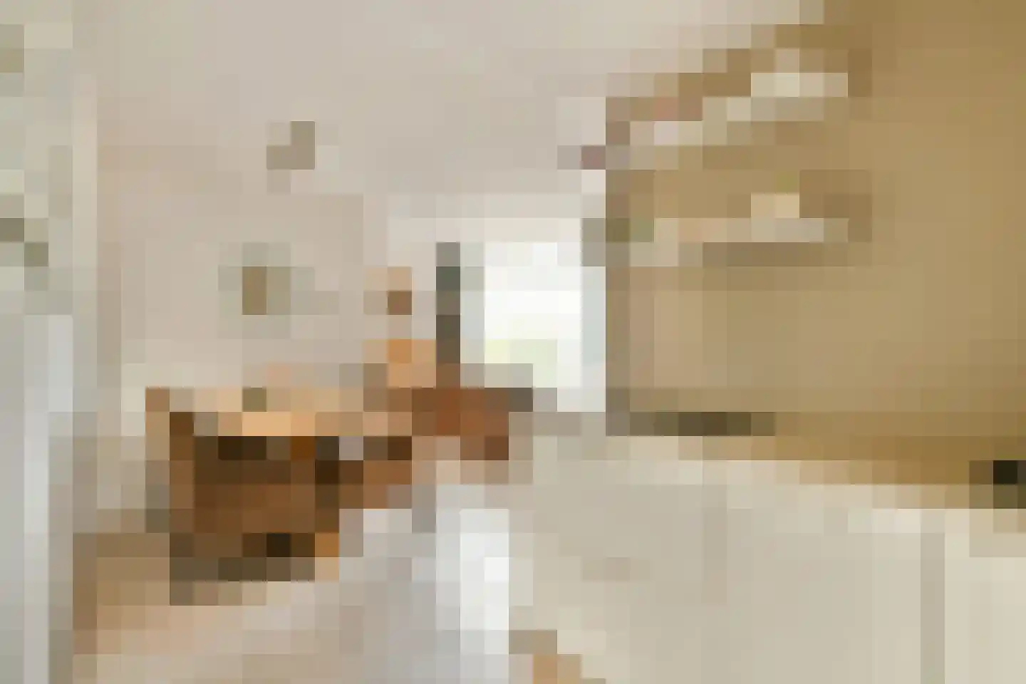 Witkopeend 9 Uithoorn thumbnail 14