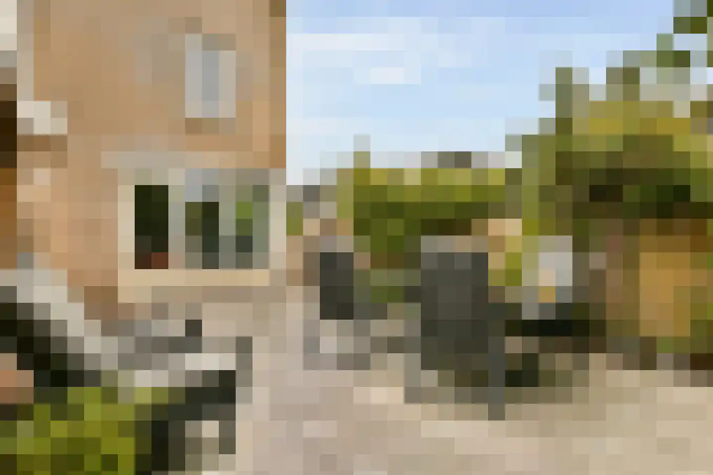 Witkopeend 9 Uithoorn thumbnail 17