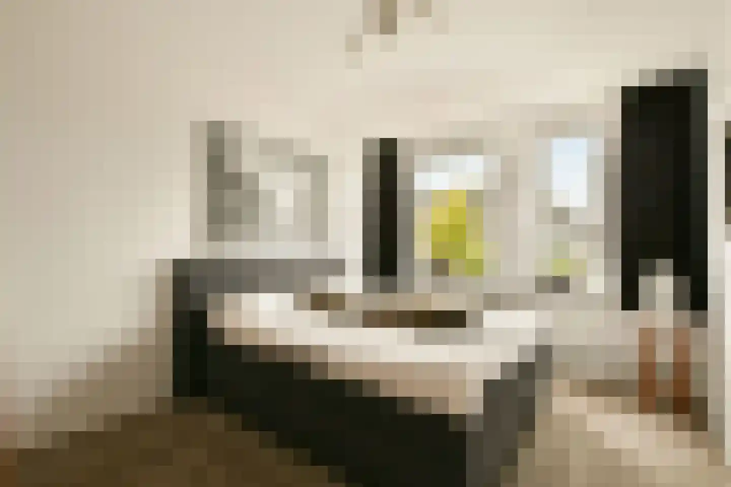 Witkopeend 9 Uithoorn thumbnail 20